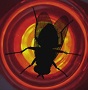 Benutzeravatar